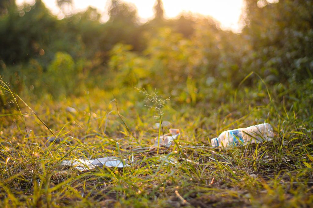 meadow-6484949_1920